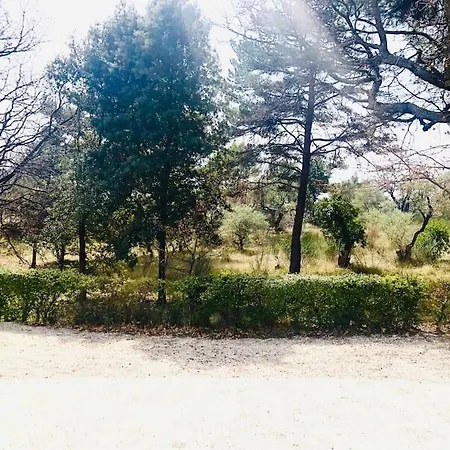 Ravissante A 10mn De Forcalquier Apartment *